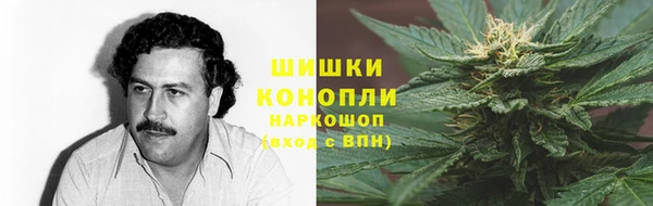 ПСИЛОЦИБИНОВЫЕ ГРИБЫ Няндома