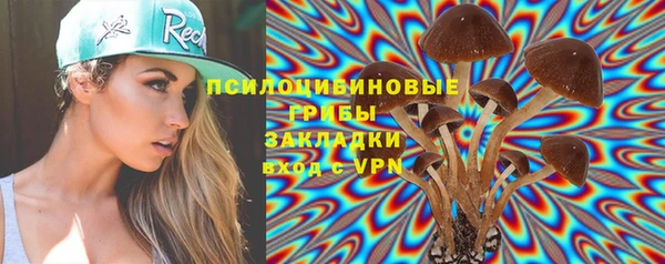 ПСИЛОЦИБИНОВЫЕ ГРИБЫ Няндома