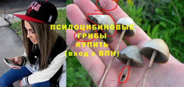амф Пересвет