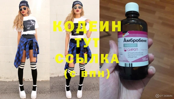 ПСИЛОЦИБИНОВЫЕ ГРИБЫ Няндома
