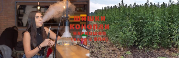стаф Нягань