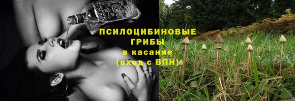 мдпв Нязепетровск
