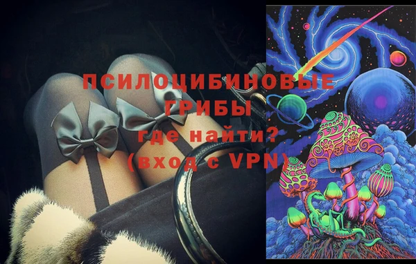 ПСИЛОЦИБИНОВЫЕ ГРИБЫ Няндома