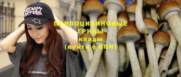мдпв Нязепетровск
