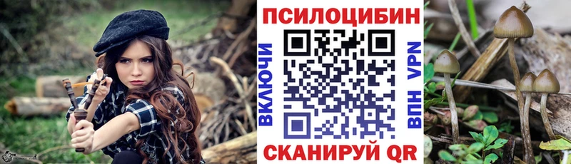 Псилоцибиновые грибы прущие грибы  закладка  гидра ссылки  Сердобск 