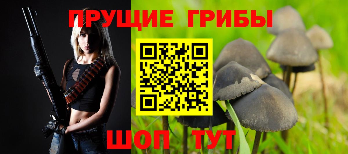 Псилоцибиновые грибы GOLDEN TEACHER  Вход с VPN  Сердобск 